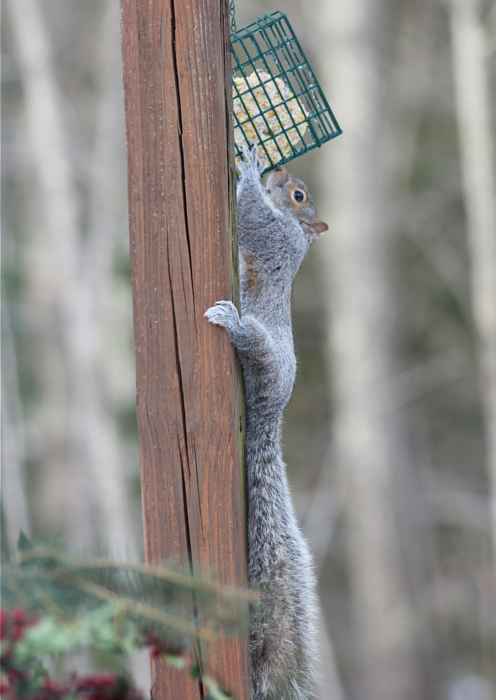 Stretching it out...