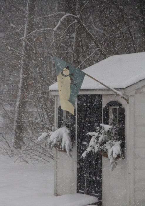 Groundhog says 6 more weeks of winter. Hardly seen any of this so far this year...