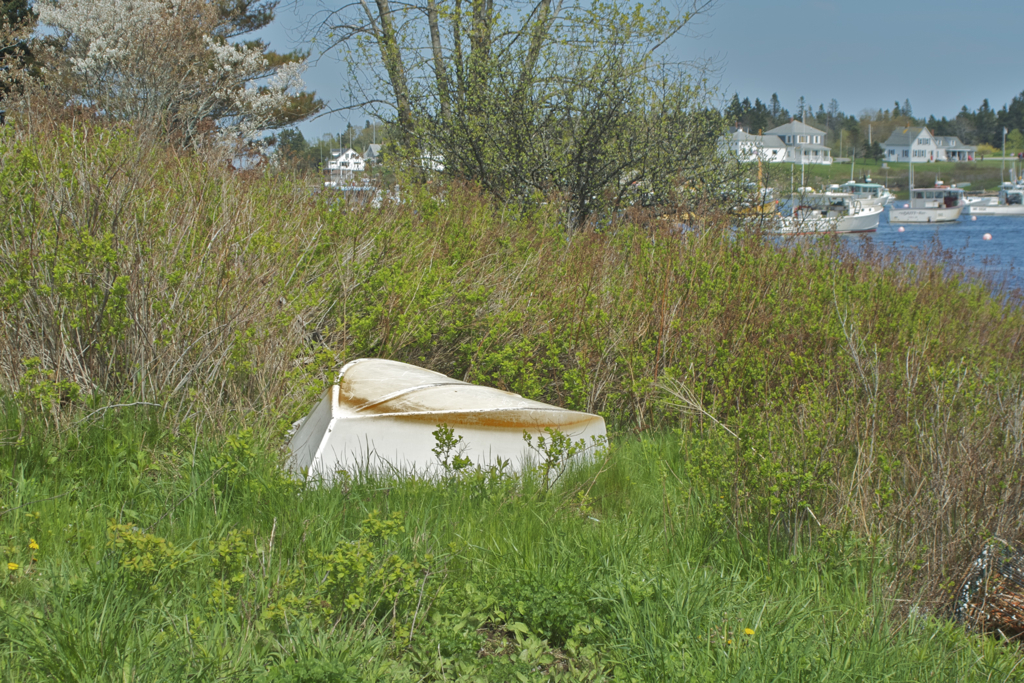 Big boats stay in the harbor, little guys in the grass :)