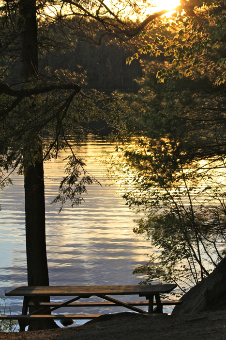 Glad for all the recent rain because we need it but happy to see the sun again...