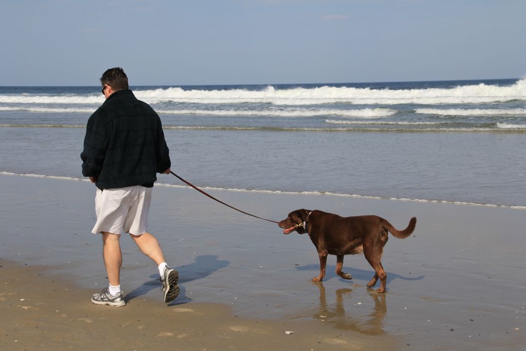 Beach walks make Sophie Brown very happy