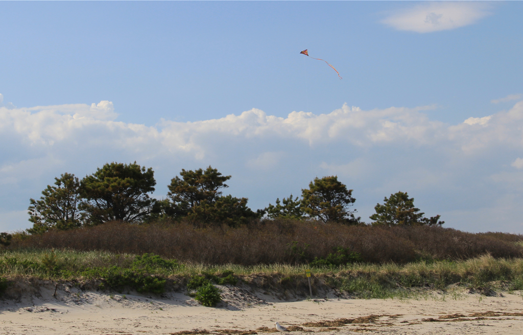 Never did see the mystery flyer behind this kite...  