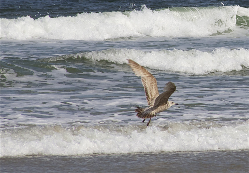 Not so much into the wading when the waves roll in...