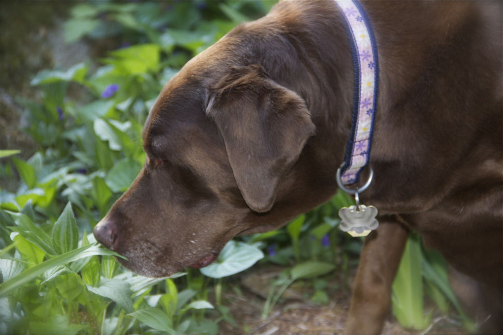 Sniffing around... 