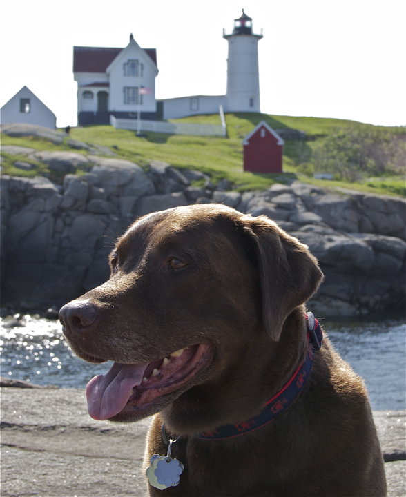 Soph at Nubble Light