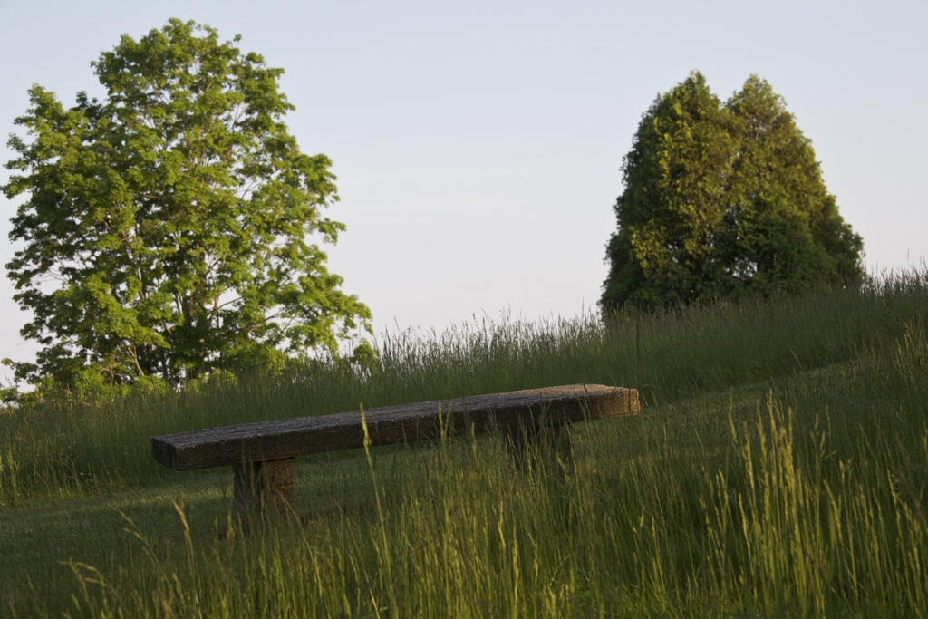 Golf course bench