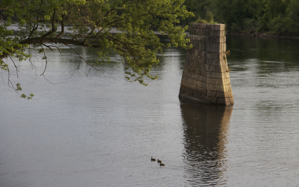 A little early evening swim...