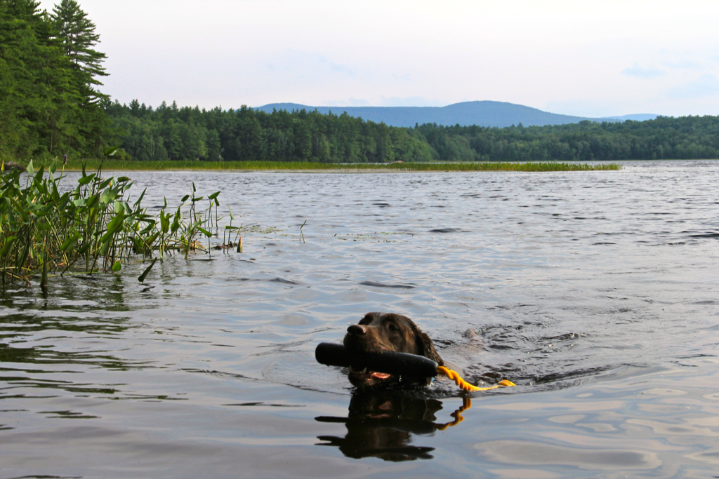 Making the most of the dog days of summer :)