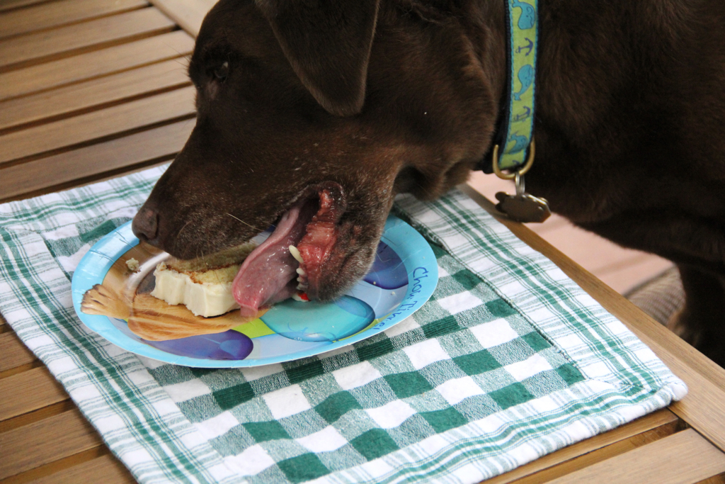 She wasted no time in getting down to the birthday cake business...