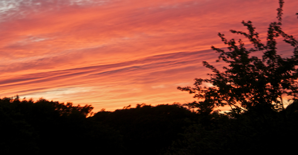 Beautiful summer sunset