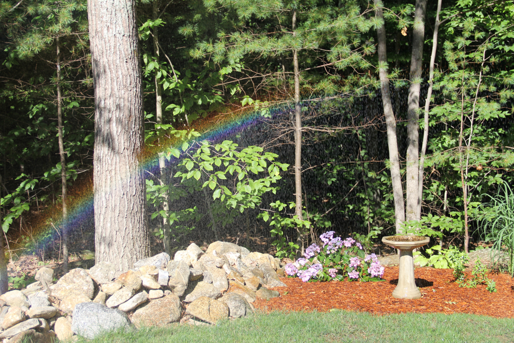 Guess there's no pot of gold at the end of this rainbow