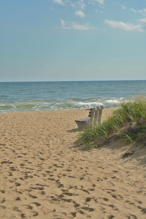 I could go for a beach day right around now...