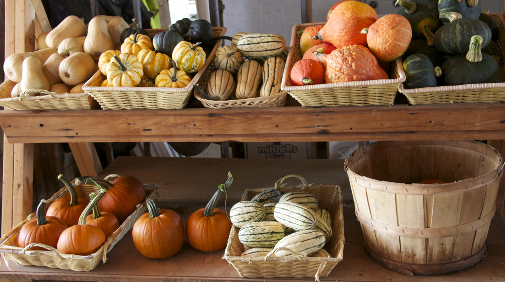 Different farmstand....  and more hints of Fall....  August 12th.  