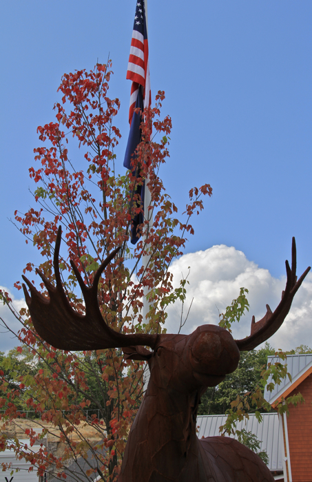 A weekend ago it was pumpkins, this past weekend it's leaves changing colors..  is it fall already?!