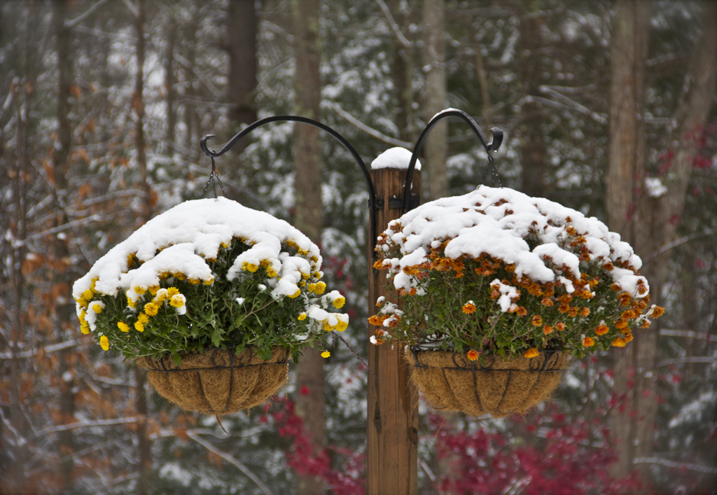 Winter trying to steal fall's thunder