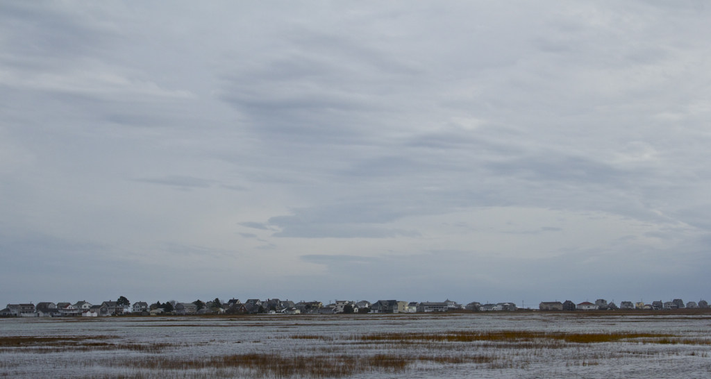 Marsh at high tide