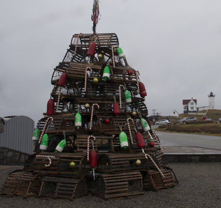 Christmas tree Maine style