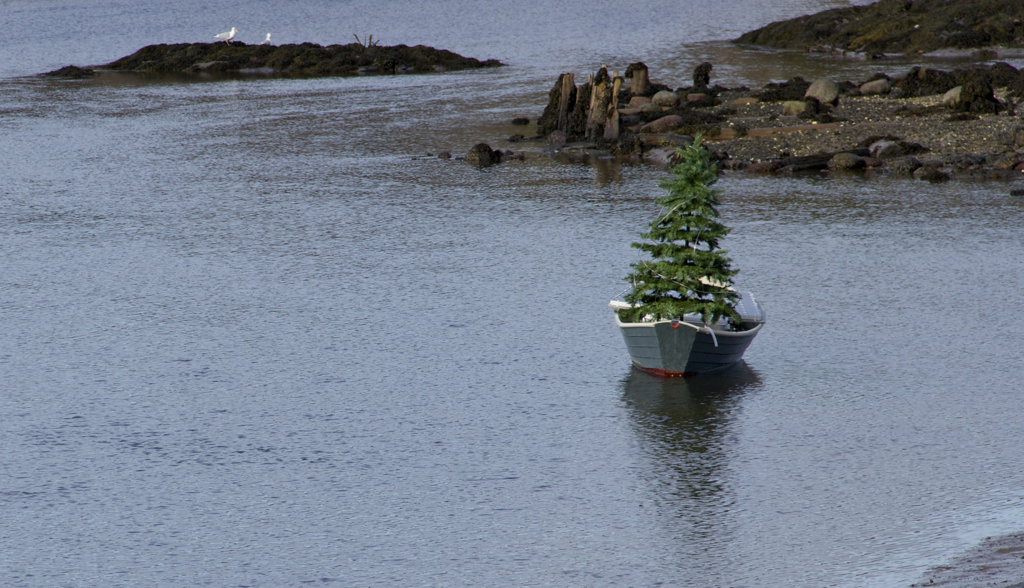 Christmas in a boat :)