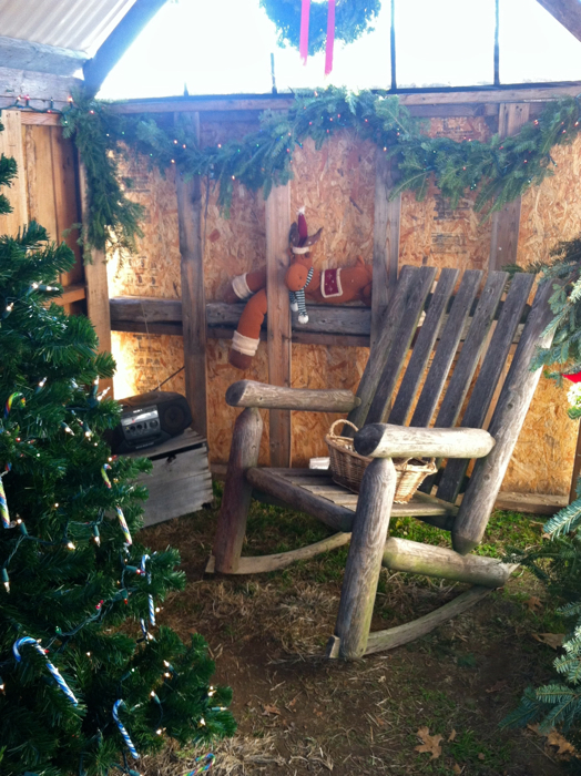 Seems like a pretty cozy spot for Santa...