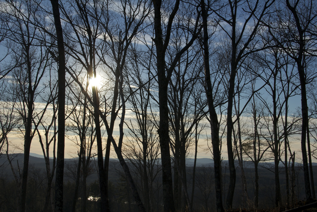 Gorgeous views from the Christmas tree farm