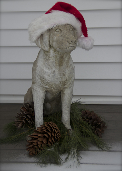 A dusting of snow creeping up on the stone dog on the porch