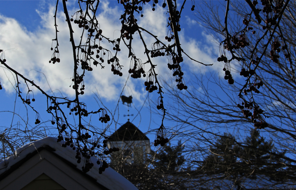 Beautiful blue sky