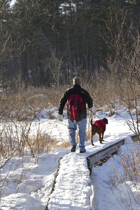 Fun winter hike at Beaver Brook today