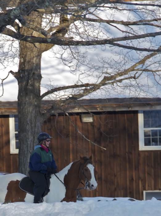 Minus the rider, this horse blends in pretty good with its surroundings