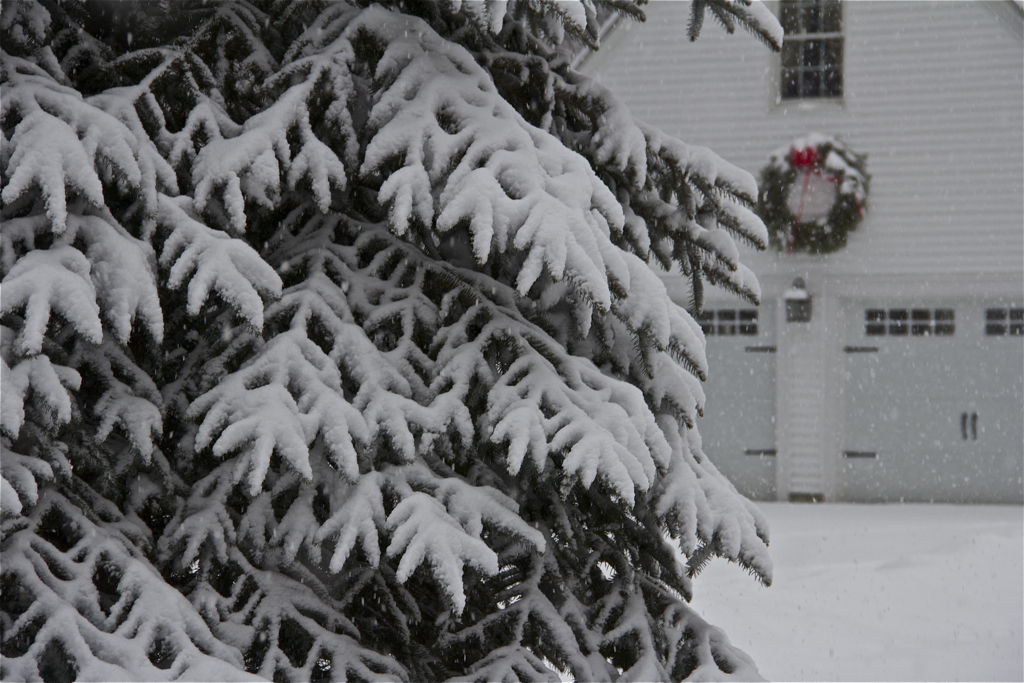 After the January thaw earlier this week, winter is back and beautiful...