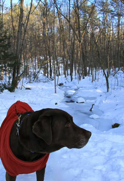 Taking in the cool, crisp winter air