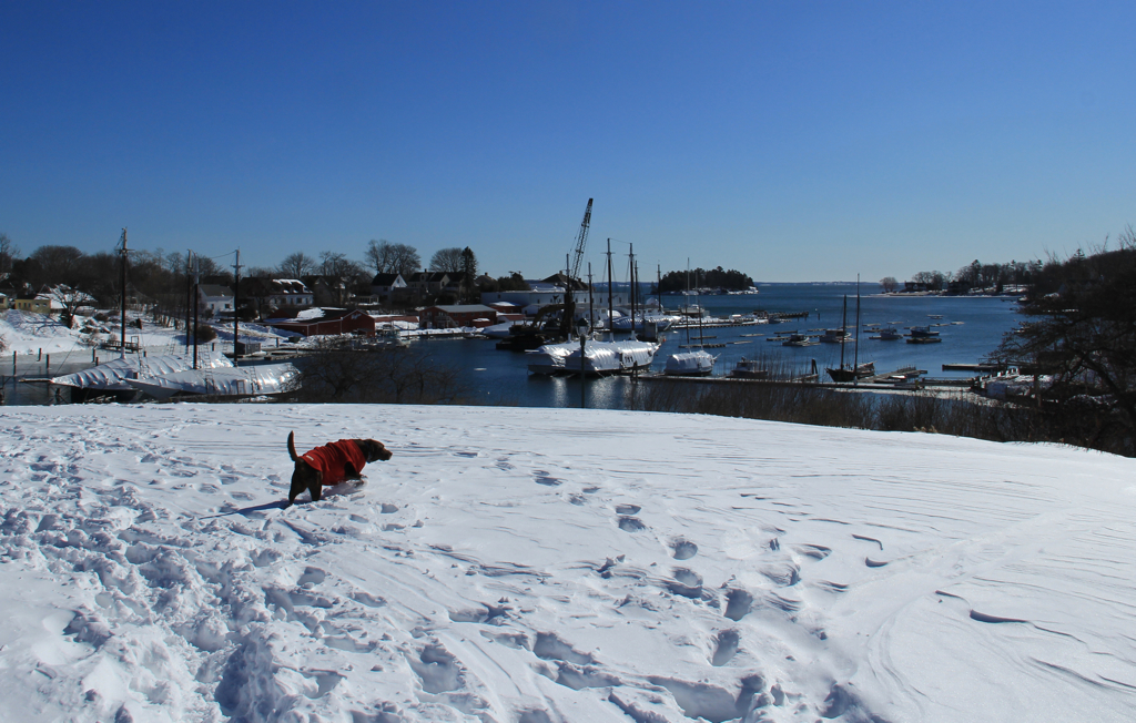 This is a little more along the lines of freedom in the snow that Soph prefers...not to mention a harbor view