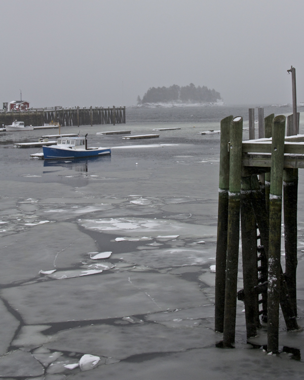 Winter in the harbor