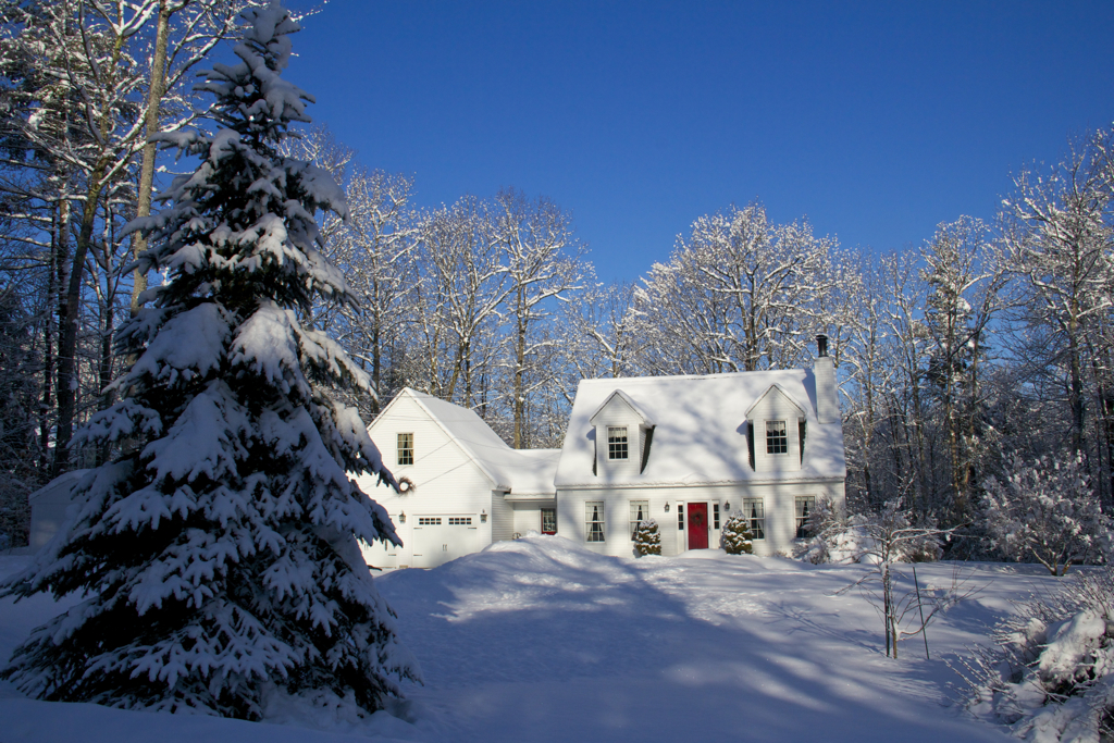 Today's blue sky didn't last long but it was gorgeous while it did.