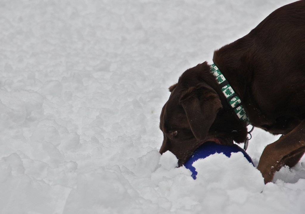 Jollyball is a little challenging in the heavy wet snow...