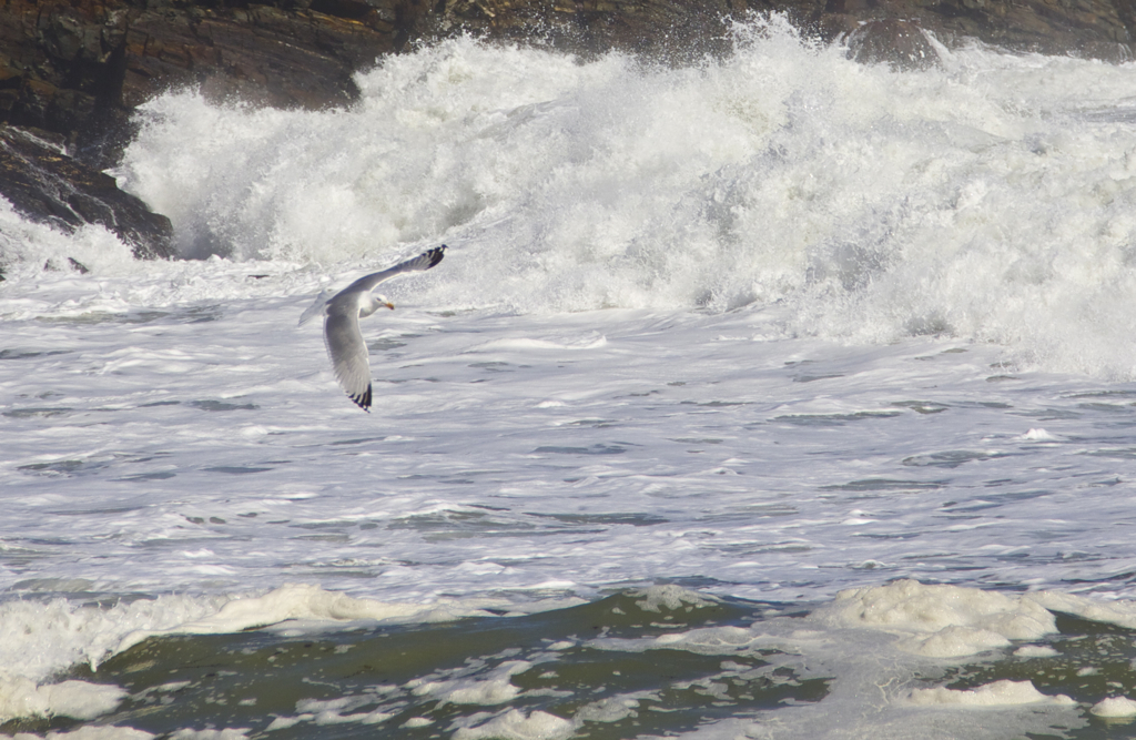 Bird's eye view of the surf