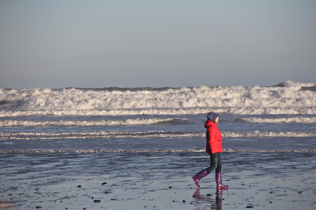 Colorful beach walker...