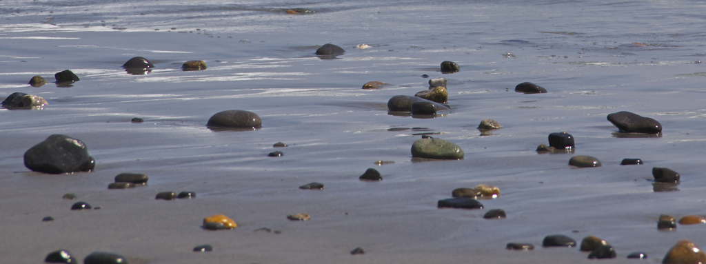 Love the smooth beach rocks