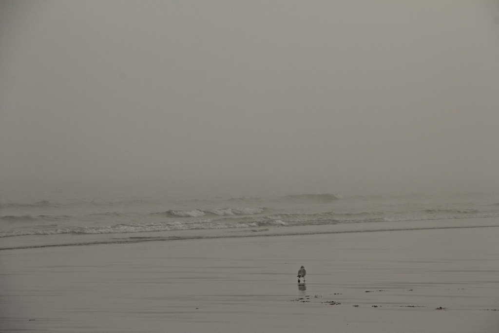 Lone beach walker on a foggy beach