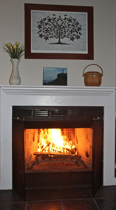 The calendar says spring but the temperature says it's still time to make use of the fireplace...