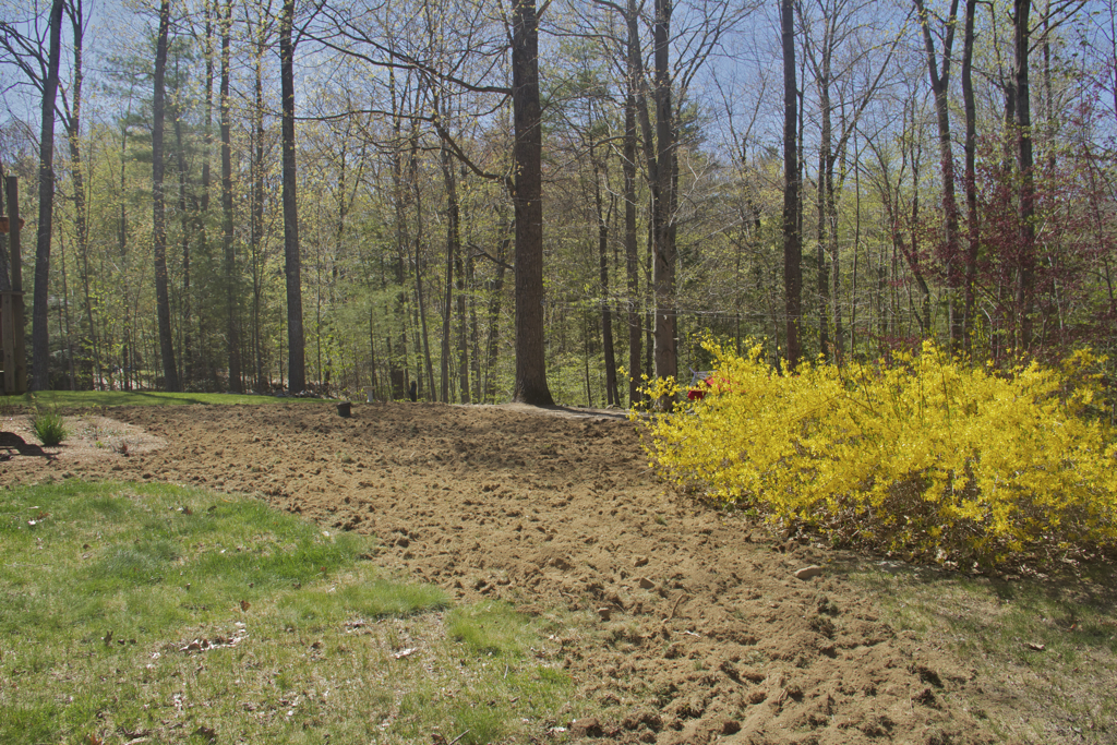 Always yard work to be done...  prepping for sod in part of the backyard :)