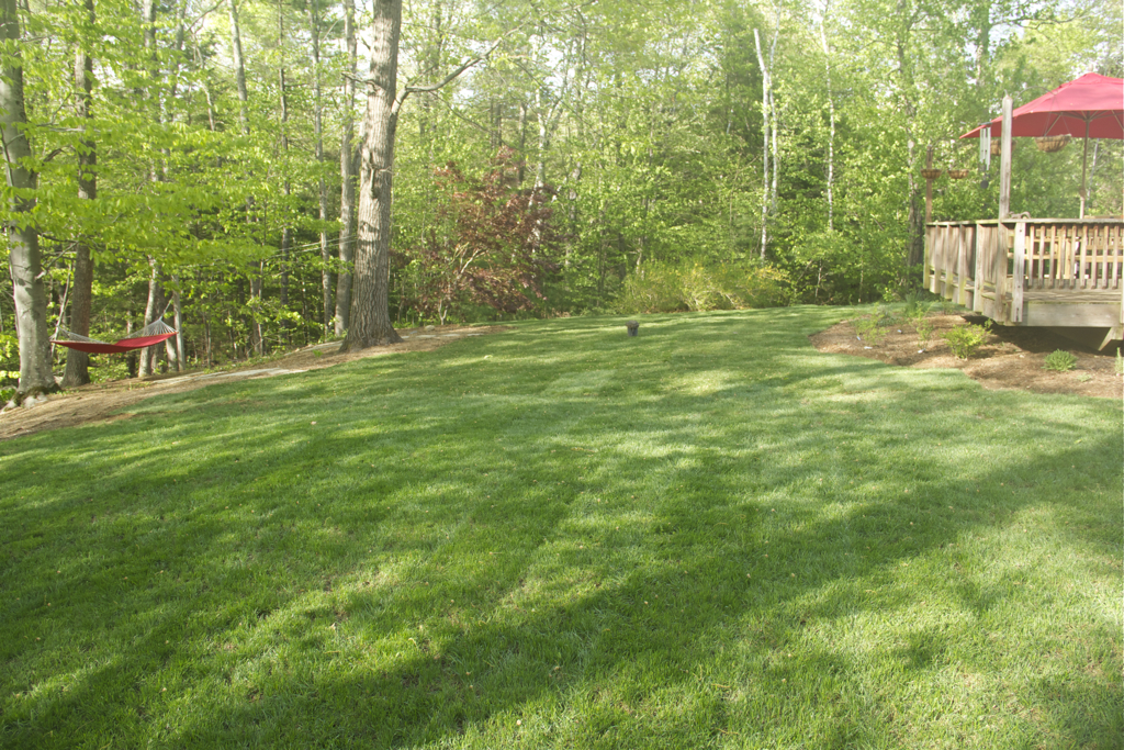 New grass behind & around the deck to the right really helps make the backyard:)