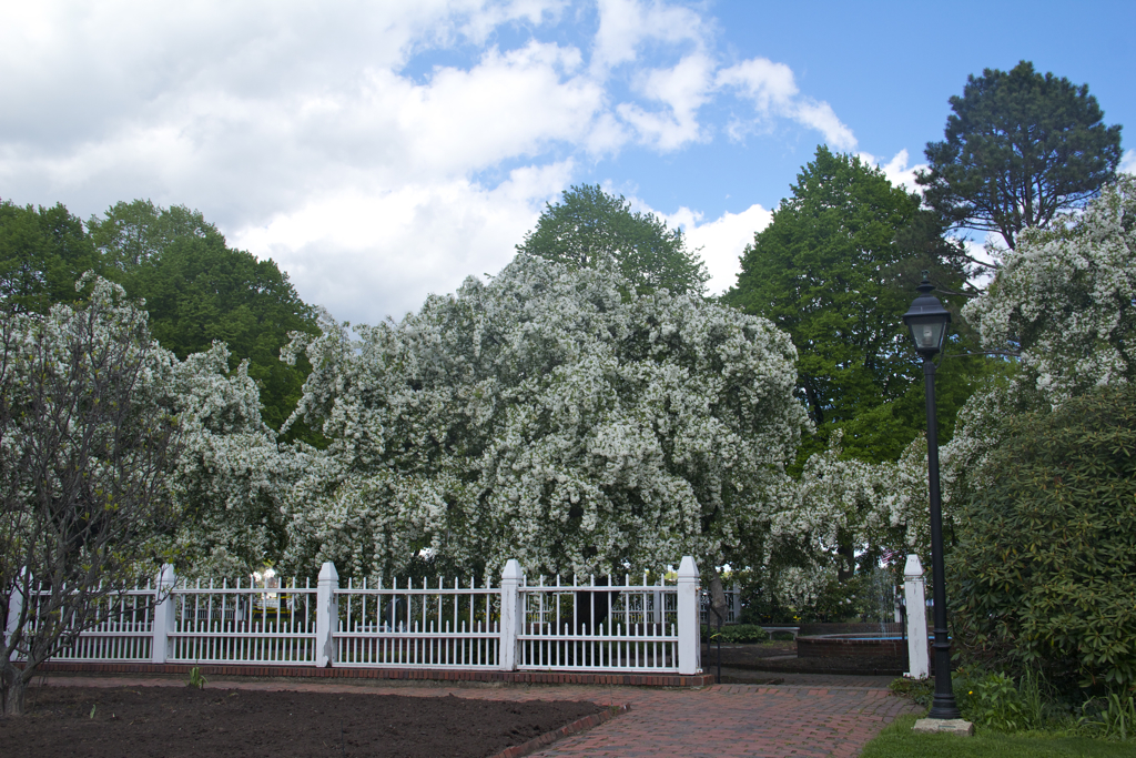 Spring has sprung at Prescott Park in Portsmouth 