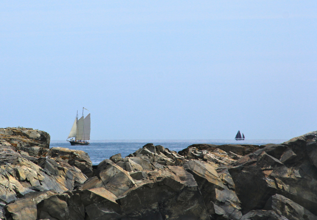 Wish I was out on one of those boats but it was pretty relaxing just watching them.