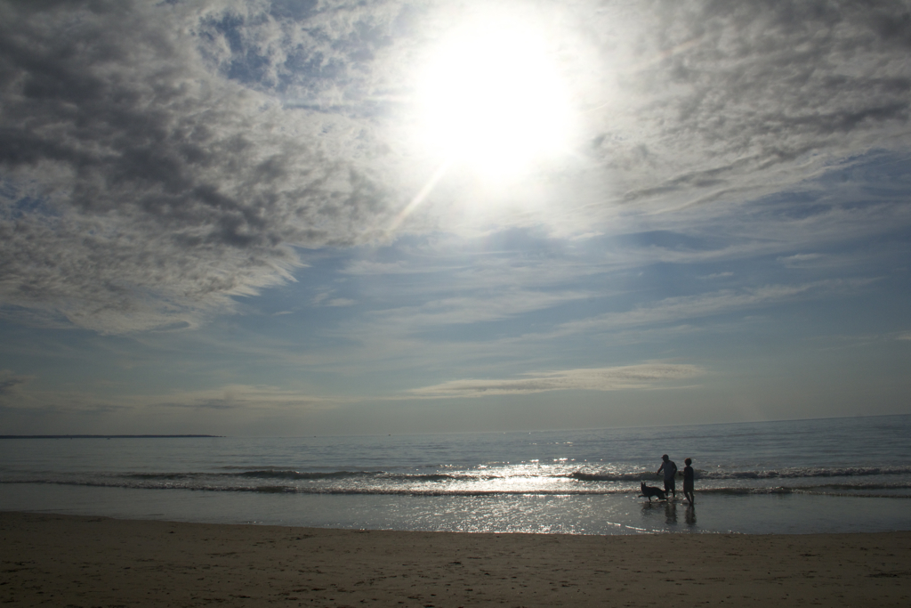 Soph and I had fun watching dogs and their people on the beach Sunday morning...  