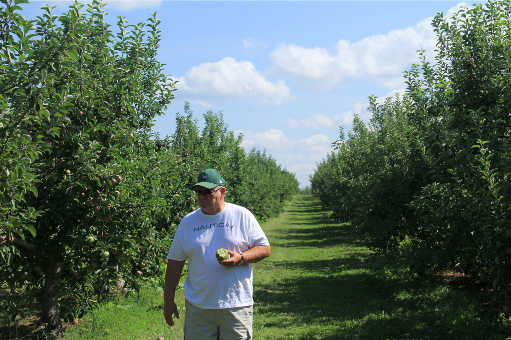 Dad enjoying a nice crisp macintosh apple at Carter's Orchard today; something he sorely misses living in SC...  