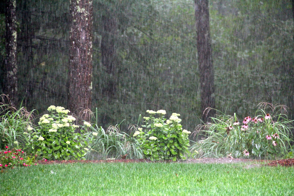 One of the many downpours on Sunday...