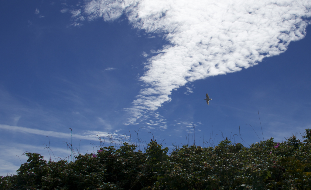 Sunday scenery with more beautiful blue sky...