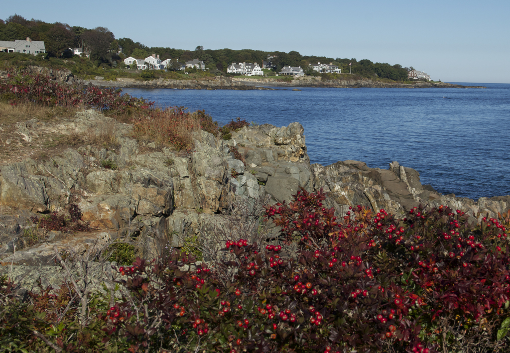 Fall colors on Maine's rocky coastline...