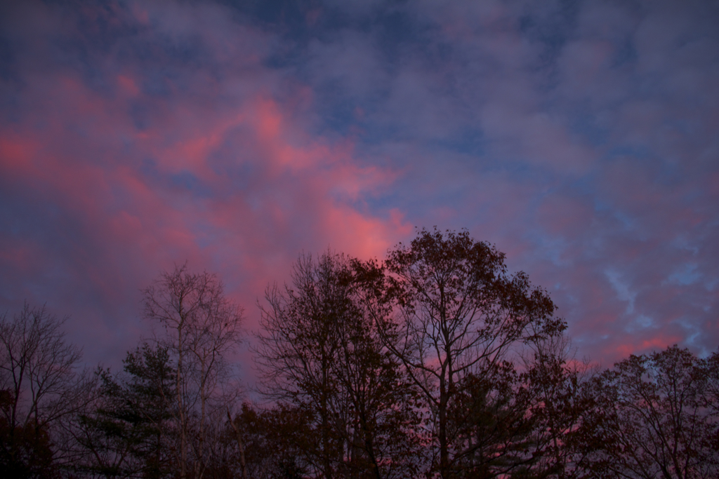 Beautiful sky at dusk tonight... caught it with just enough time to take a photo.