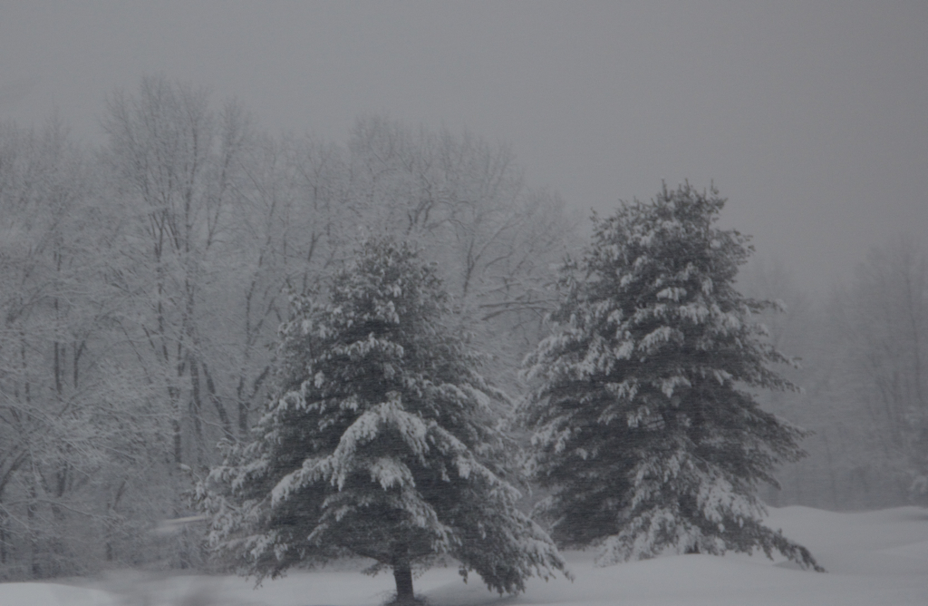 Winter as seen from a moving car...  